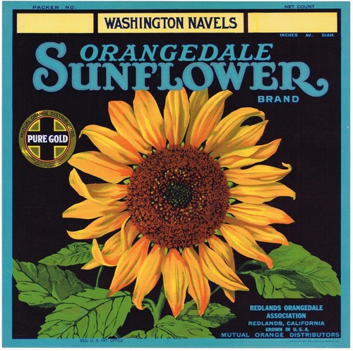 X10 WHOLESALE 1930 CRATE LABEL VINTAGE REDLANDS SUNFLOWER VAN GOUGH NAVEL FLORAL