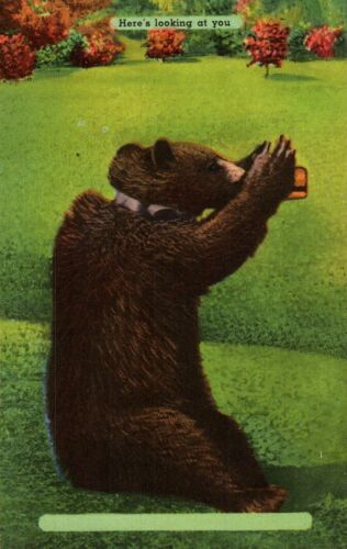 Vintage Odd Linen Postcard Bear looking through Binoculars NOS unbranded