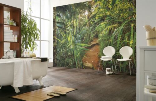 Papier Peint Photo papier peint 368x254cm Jungle caractéristique mur Palms Rain Forest 