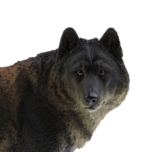handgemaltes schwarzes Wolf Modell Realistische Tierfiguren pädagogisches 
