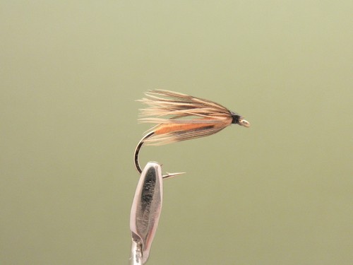 Mixed Size 10//12//14//16 For Fly Fishing 12 Pack Partridge and Orange Wet Fly