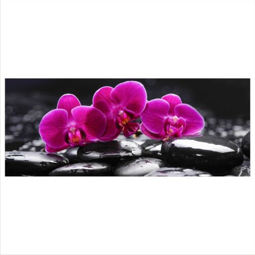 Verre 125x50 XL Orchidée Pink Panorama la fresque photos de modern deco verre