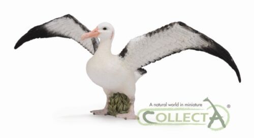 Wanderalbatros 17 cm Animaux Sauvages Collecta 88765