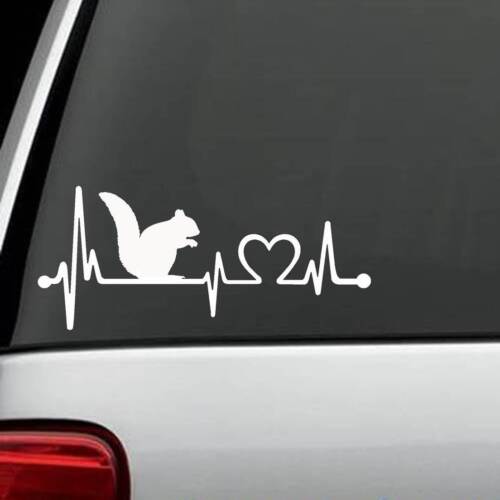 K1113 Squirrel Heartbeat Monitor Decal Sticker Car Truck SUV Laptop Surface