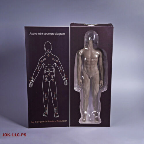 JIAOU DOLL 1//6 Seamless Male Body Doll Man Action Figure fit 12/" Phicen Hot Toys