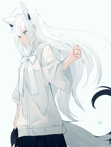 Vtuber dojin shirakami fubuki no book B5 mito game anime
