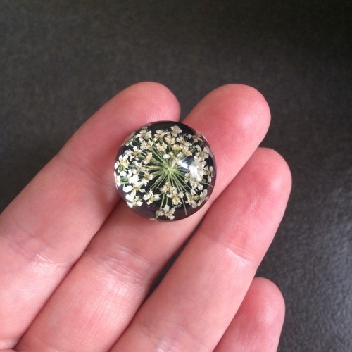 5 x Glass Cabochon With Dried Flowers 20mm Choice of colour