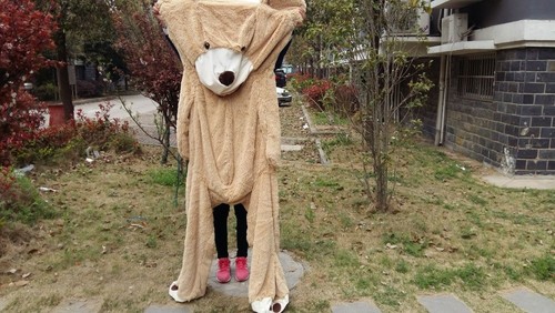 200cm Giant Bear Skin Toy American Bear Plush Teddy Bear Bearskin Gift
