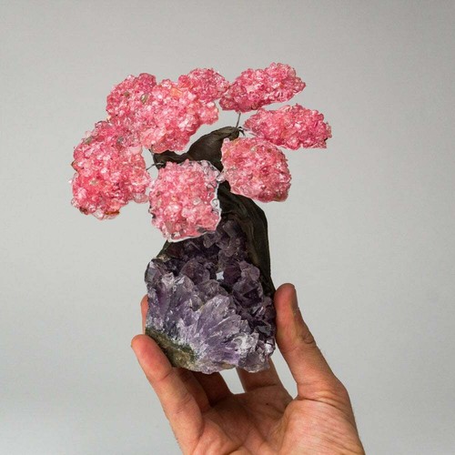 Rose Quartz Clustered Gemstone Tree on Amethyst Matrix The Lov Medium