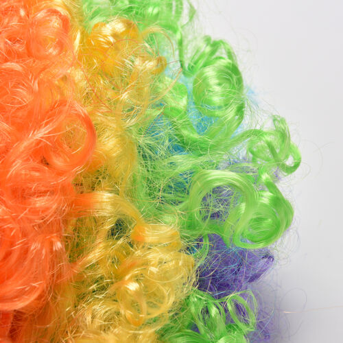 Party Disco Rainbow Afro Clown Hair Football Fan Adult Child Costume Curly Wig T