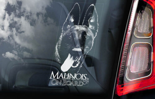 Belgian Malinois Sticker chien fenêtre Autocollant Stickers Voiture Cadeau pare-chocs SIGNE-V05