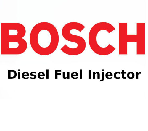 BOSCH Diesel Nozzle Fuel Injector Repair Kit 2437010066