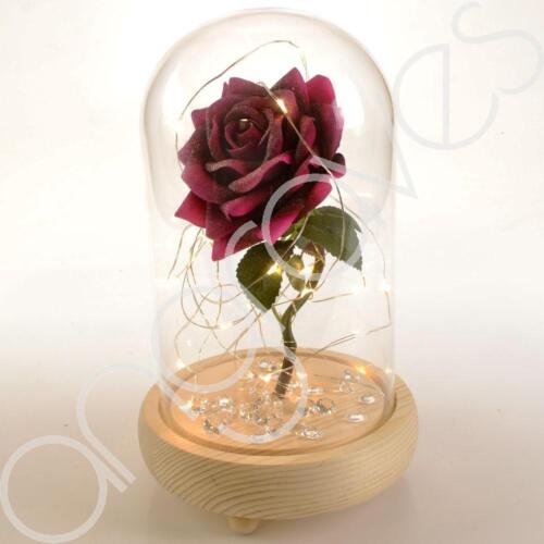 Beauty & the Beast Inspired Enchanted Rose in Glass Dome Bell Jar with Lights 