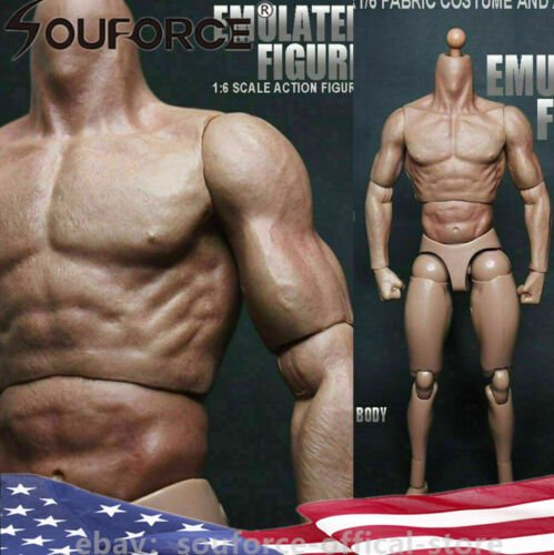 12inch Male Action Figure Muscular Body For 1//6 Scale HT Man Head Model ZC Toys