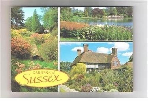 Lot 002 Views County Sussex Postcard Towns Villages Scenes Various