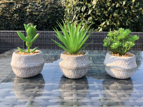 Set 3 Faux Succulents Plants Grey Terracotta Pots Bathroom Kitchen Artificial