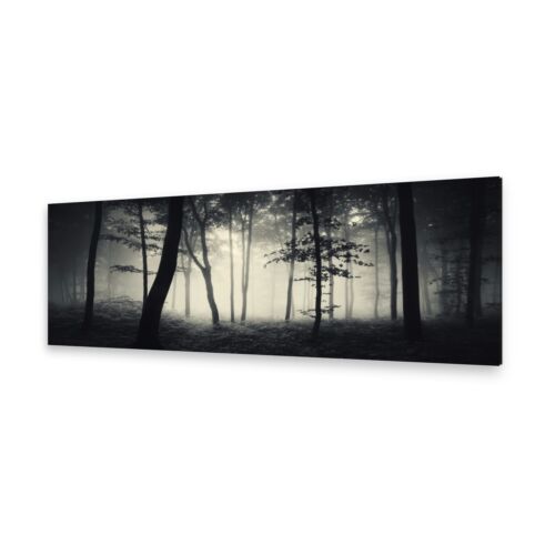 Leinwand-Bilder Wandbild Druck auf Canvas Kunstdruck Nebliger Wald 