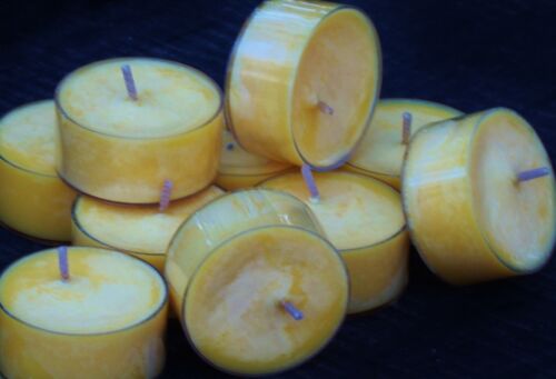 10pk 120hr/pk CITRONELLA COCONUT MANGO SOY TEA LIGHT CANDLES Insect Repellent 
