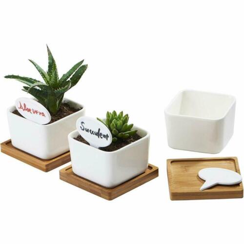 3 Pack 3.4 Inch White Ceramic Small Square Succulent Cactus Flower Plant Pot