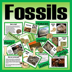 CD FOSSILS TEACHING RESOURCES KS1, KS2 SCIENCE HISTORY ANIMALS DINOSAURS BONES | eBay