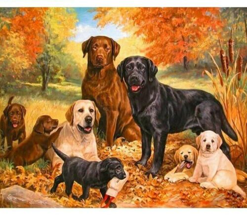 Paint By Numbers Adults kids Dog Puppy Retriever DIY Painting Kit 40x50CM Canvas 