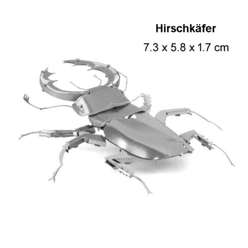 Laser Metall Puzzle Bausatz Details about  / 3D Insekten Konstruktionsspielzeug