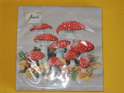 1 Packung 20 Servietten Fliegenpilze Herbst Laub Pilze rot grau VIELE AGARICS