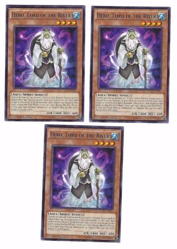 X3 YUGIOH HEBO LORD OF THE RIVER RATE-EN030 COMMON 1ST IN HAND