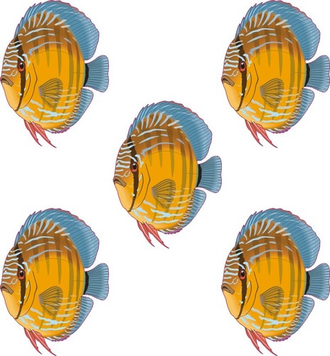 5 x Peces Tropicales Azulejo Pegatinas Calcomanías de superficie plana a prueba de agua