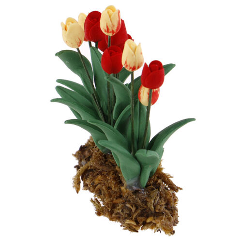 1Pc 1:12 Dollhouse Miniature Garden Ornament Tulips Green Plant Flower Gar  BCAB