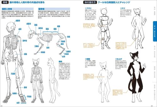Kemono Character Japan Draw Art Book Furry Anime Guide Manga  Beastman Textbook 