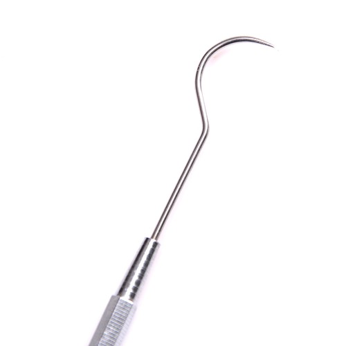 Dents nettoyage hygiénique capteur sonde crochet