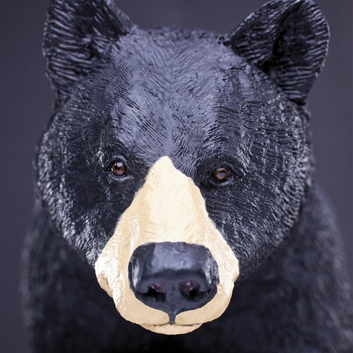 SAFARI LTD BLACK BEAR TOY #112589 SCALE 1:10 WILDLIFE WONDERS COLLECTION NEW