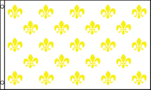 France Bourbon Restoration Kingdom Of France 1589-1792 1814-1830 5/'x3/' Flag