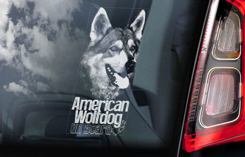 AMERICAN WOLFDOG Car Sticker Wolf Saarloos Dog Window Sign Bumper Decal Gift V1 