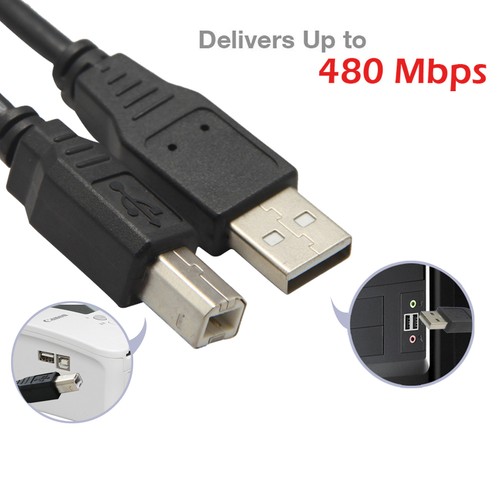 25ft 480 Mbps High Speed USB 2.0 Cable Type A Male//Female AMAF Extension Cord
