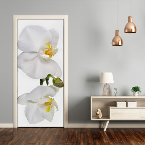 Details about  / 3D Wall Sticker Decoration Self Adhesive Door Wall Mural Flowers White orchid