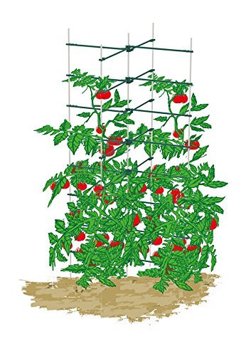 Mr.Garden Square Tomato Trellis Plant Ladder Eggplant Ladder