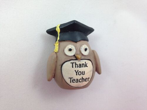 Best Brown Pocket Size Top Class OWL Thank You Teacher  Pebble Gift 