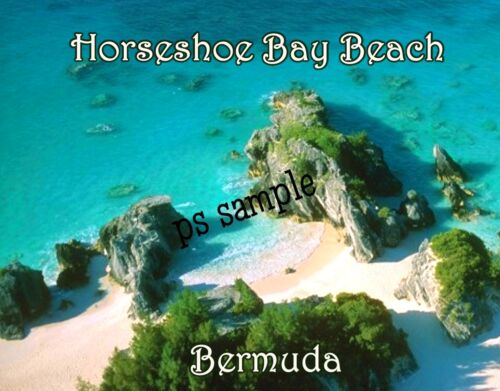 Travel Souvenir Flexible Fridge Magnet HORSESHOE BAY BEACH Bermuda