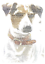 JACK RUSSELL DOG Personalised word art picture