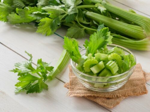 Tendercrisp Celery Seed Heirloom NON-GMO Fresh Seeds FAVORITE & FLAVORFUL 1000 