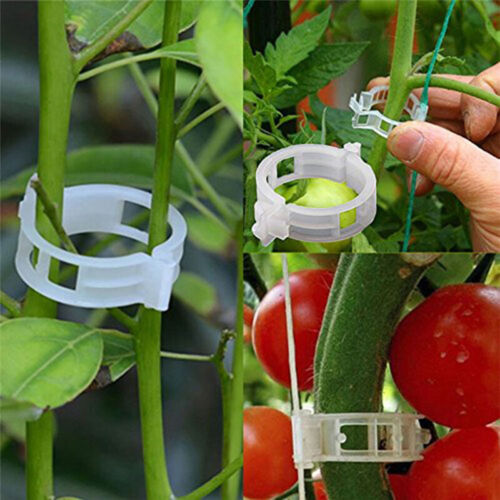 200pcs Plant Support Clips Useful Tomato Veggie Garden Trellis Twine Greenhouse