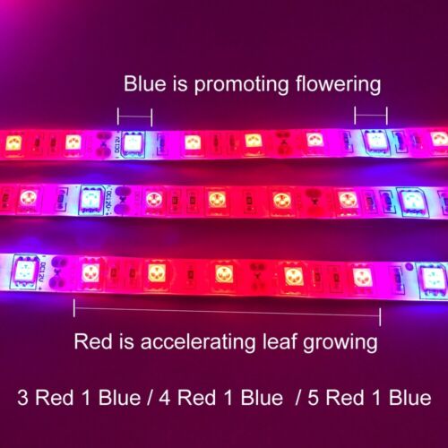 LED Plant Grow Strip Light Lamp 12V 5050 300LED Full Spectrum Red+Blue 3//4//5:1