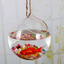 UK Hanging Ball Glass Flower Planter Vase Terrarium Container Landscape Bottles