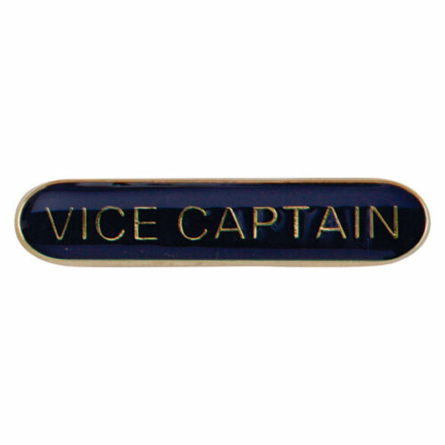 Vice Captain Enamelled Bar School Badge Red Blue Green Yellow SB16123 trd