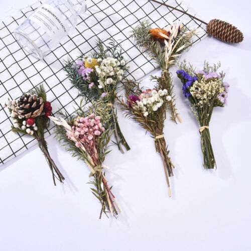 Details about   Real Dried Flower Baby Breath Daisy Flowers Bouquet Wedding Home Decor AU 