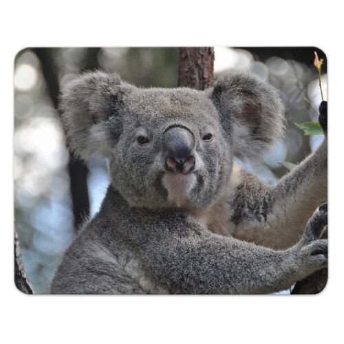 24x19cm Tiere Mauspad Mousepad  "Koala" Koalas Moosgummi Australien 