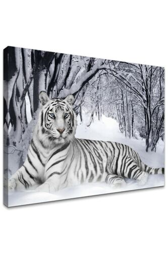 Canvas Print Wall Art Picture For Home Decor White Tiger In Snow Forest any size 