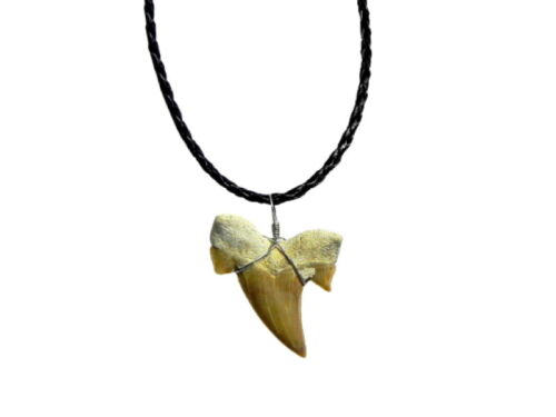 Black Braided white OTODUS Great Shark Tooth Necklace Fossil jewelry necklaces